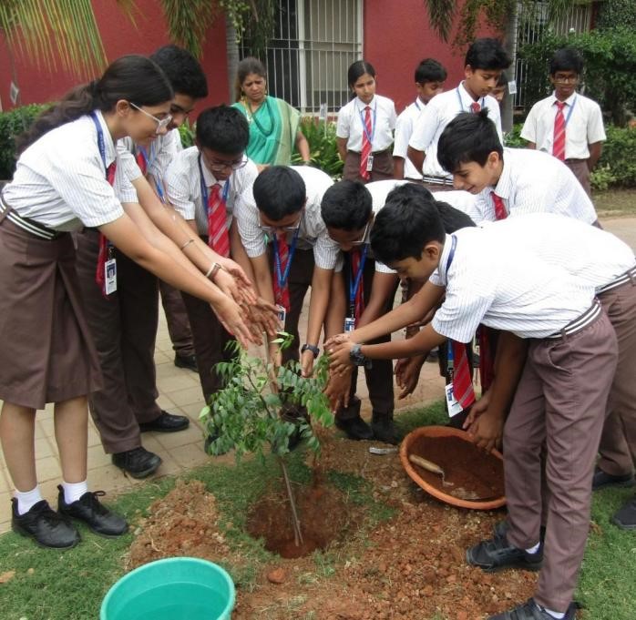 World Environment Day 2026: Driving Climate Action